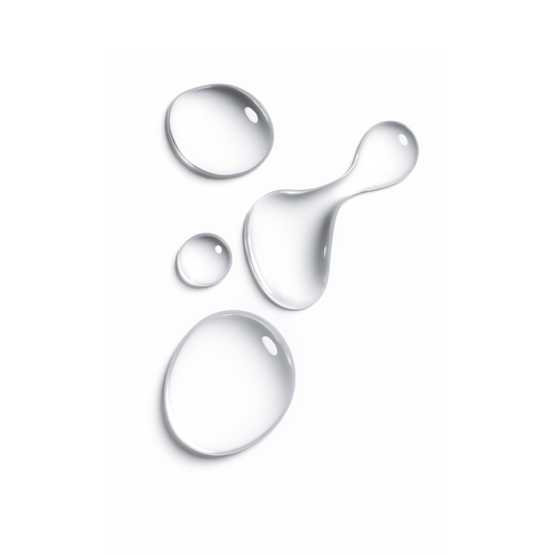 Deep Rosemary | shampoo 240 Ml